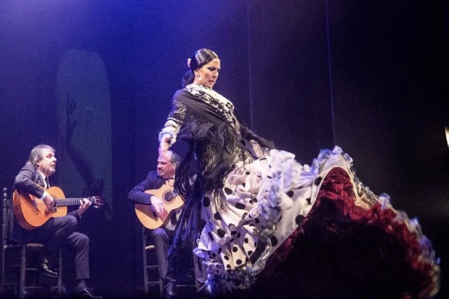 Úrsula Moreno bailaora flamenco